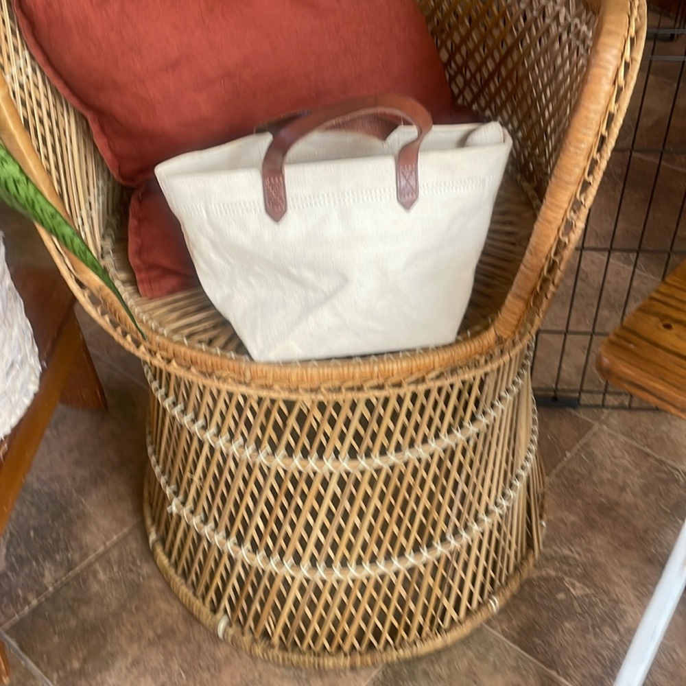 Madewell satchel (canvas with leather trim )